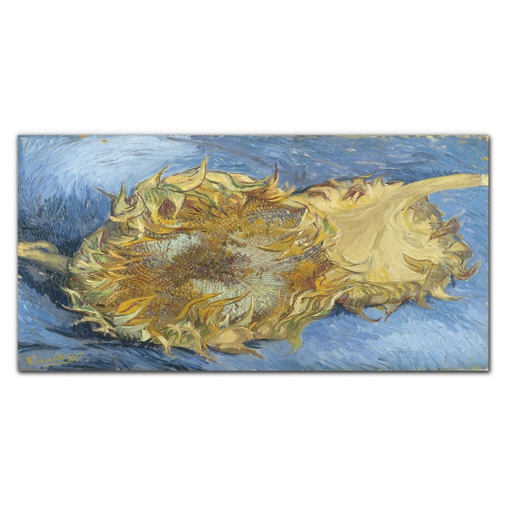 Картина на платно, Coloray, Дървена рамка, Два отрязани слънчогледа, Синьо, 120x60 см, 010030010060000019021