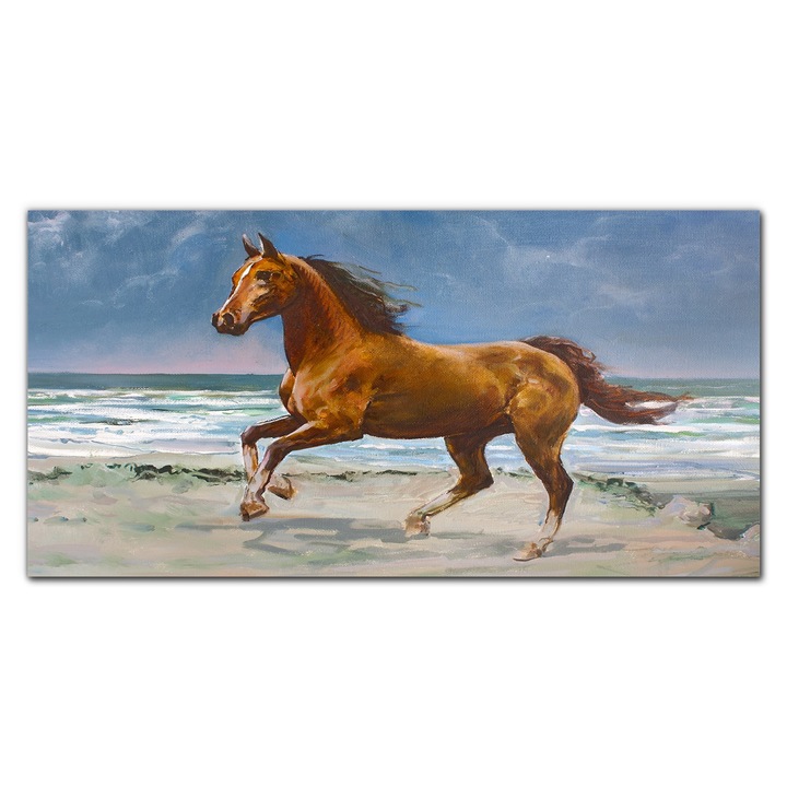 Tablou pe canvas, Coloray, Rama lemn, Pictura Plaja Coasta Cal Valuri De Mare, Multicolor, 120x60 cm, 010030010060000052666