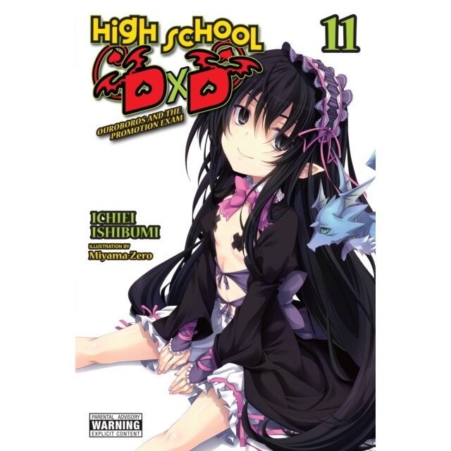 High School DxD, Vol. 11 (light novel) de Ichiei Ishibumi - eMAG.ro