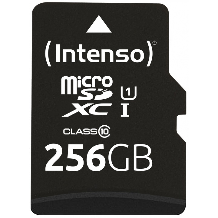 Card de memorie, Intenso, 256 GB