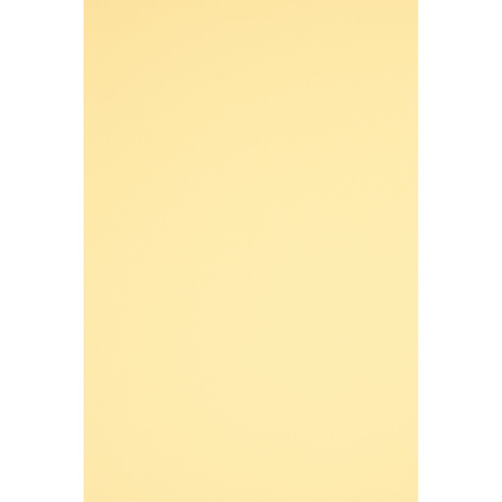 Netuno 10 db kartonlap, festéshez, 160g, A2+, 45x64