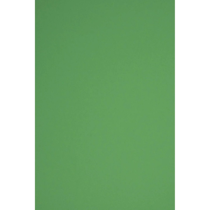 Картонена хартия, Netuno, Green, A3, 10 бр