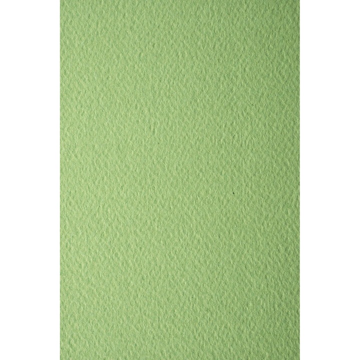 Hartie texturata, Netuno, 220g, A5, Verde, 10 buc