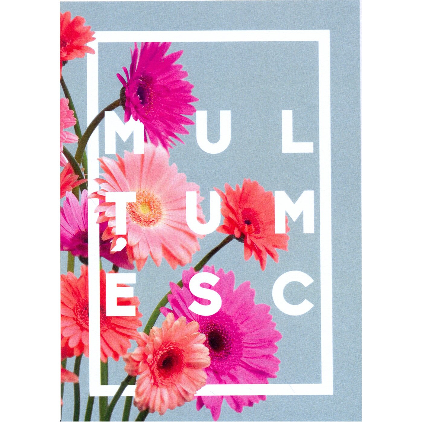 Felicitare - Multumesc