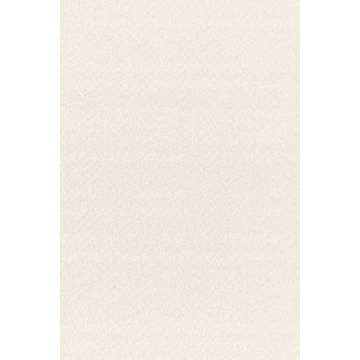 Hartie Decorativa Colorata, Netuno, Tintoretto, A4, 210x297 mm, 250g, Texturata, Ecru, 10 Bucati