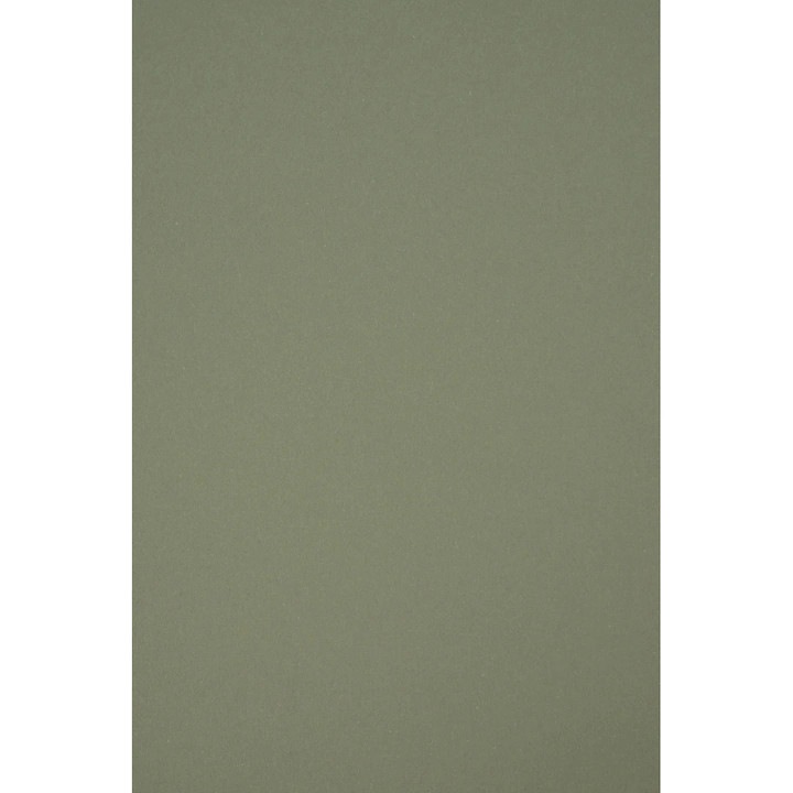 Hartie Decorativa, Netuno, Materica, A4, 210x297 mm, 120g, Ecologica, Colorata, Simpla, Verde, 10 Bucati