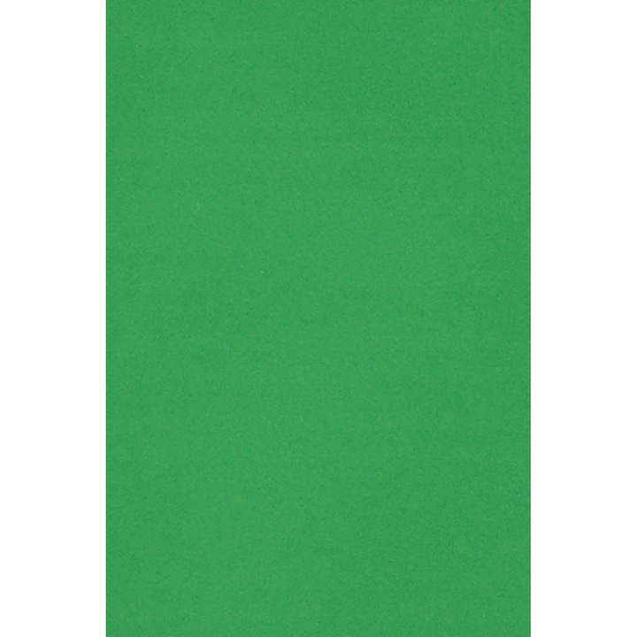 Set Hartie decorativa colorata simpla, Netuno, Burano, A3, 297x420 mm, Pentru proiecte creative DIY, Hartie de inalta calitate, Premium, 250g, Verde, 10 buc