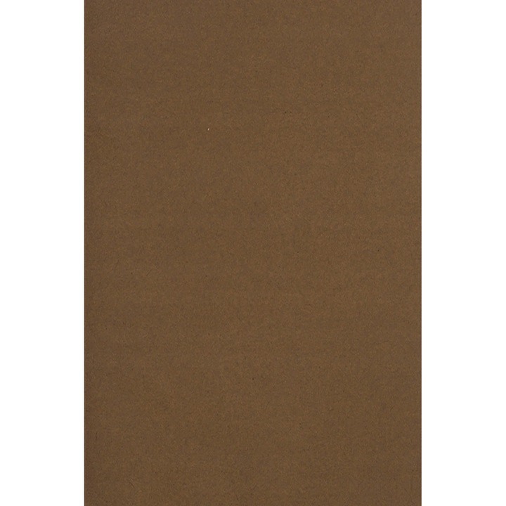 Kartonpapír, Netuno, 10 db, A3, Barna