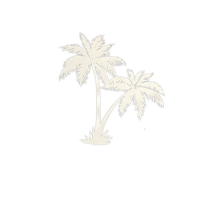 Sticker autocolant pentru geam, palmier, efect sablat, 30x20 cm