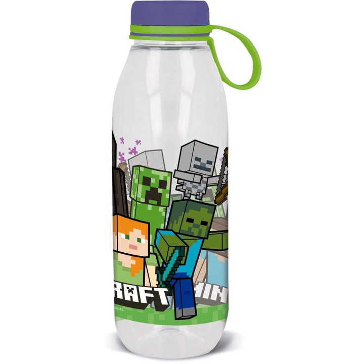 Sticla de apa Minecraft Adventure, 650ml, Multicolor