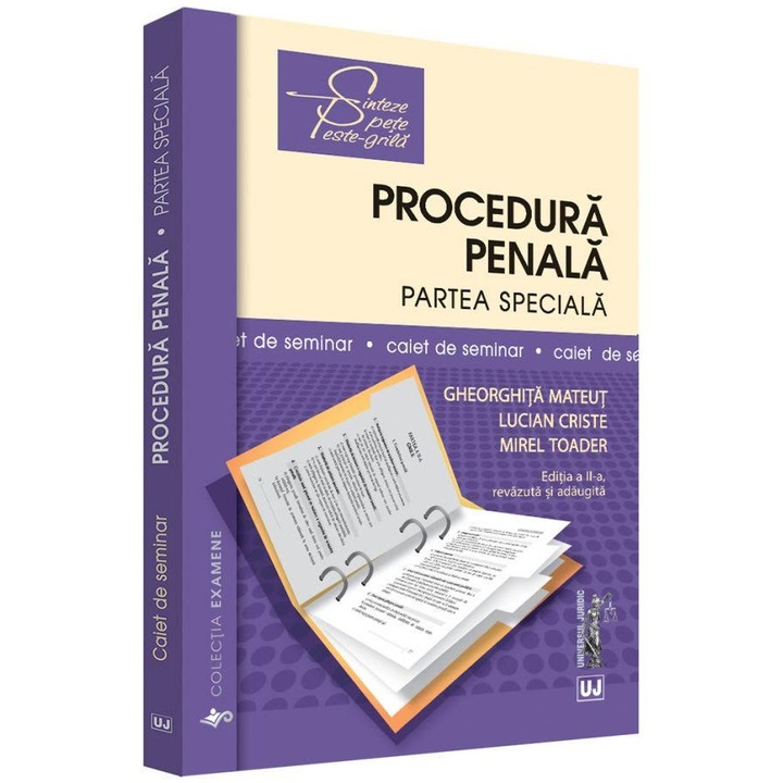 Procedura penala. Partea speciala. Caiet de seminar - Gheorghita Mateut,Lucian Criste,Mirel Toader