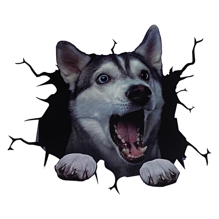 Abtibild luneta auto Lup, tip Sticker, 30 x 30 cm