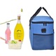 Geanta termoizolanta pentru picnic sau plaja, TECOS, capacitate 16l, cu bareta de umar, pentru mancare sau bautura, culoare Albastra