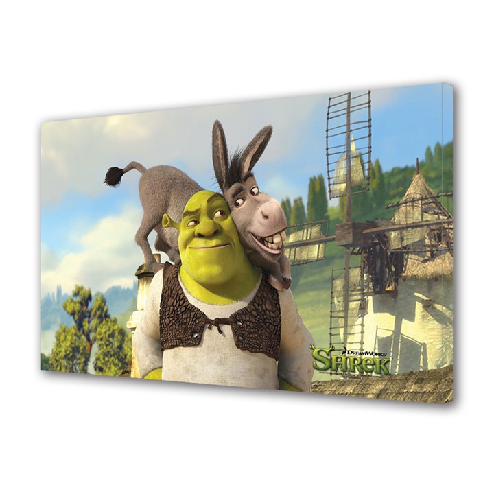 Tablou canvas pentru copii Animatie Shrek si Magaru , 20 x 30 cm