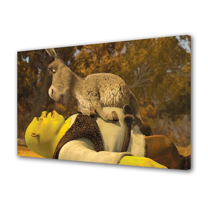 Tablou canvas pentru copii Animatie Shrek si Personajul Magarul , 20 x 30 cm