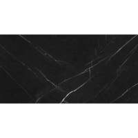 Gresie Nat Black Marble, model marmura, 60x120 cm, finisaj mat, culoare neagra