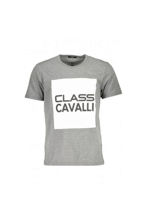Tricou barbati cu imprimeu logo, Cavalli Class, gri, S