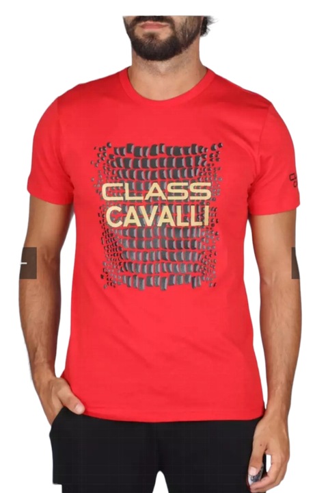 Tricou barbati cu aplicatie logo, Cavalli Class, rosu, XL