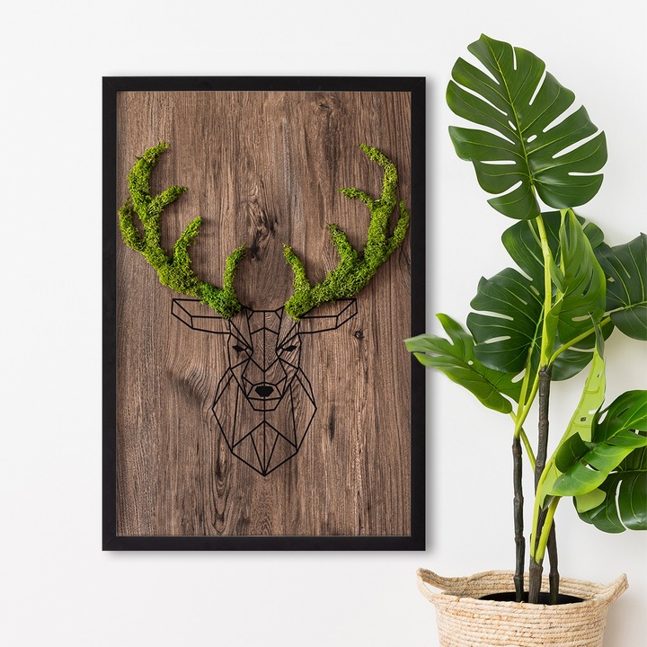 Картина, Tulup, С рамка, Правоъгълна, MDF, Кафяво, 40x60 cm
