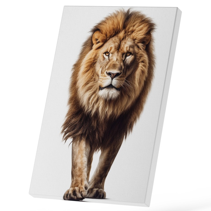 Tablou Canvas Cu Regele Leu, Ochii Galbeni, Fundal alb, Animal Periculos, Iubitorii De Safari 25x40 cm, Multicolor