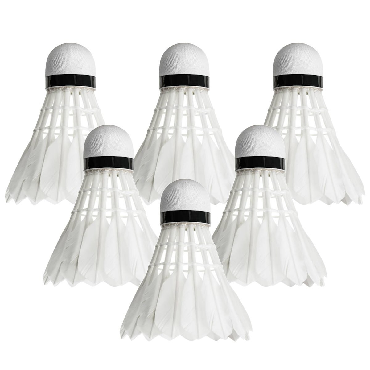 Filets de Badminton Homologués par la BWF | Net World Sports
