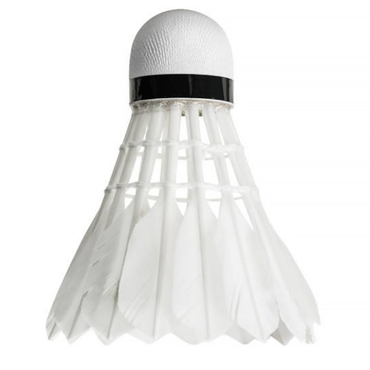 Tous nos filets et sets de Badminton