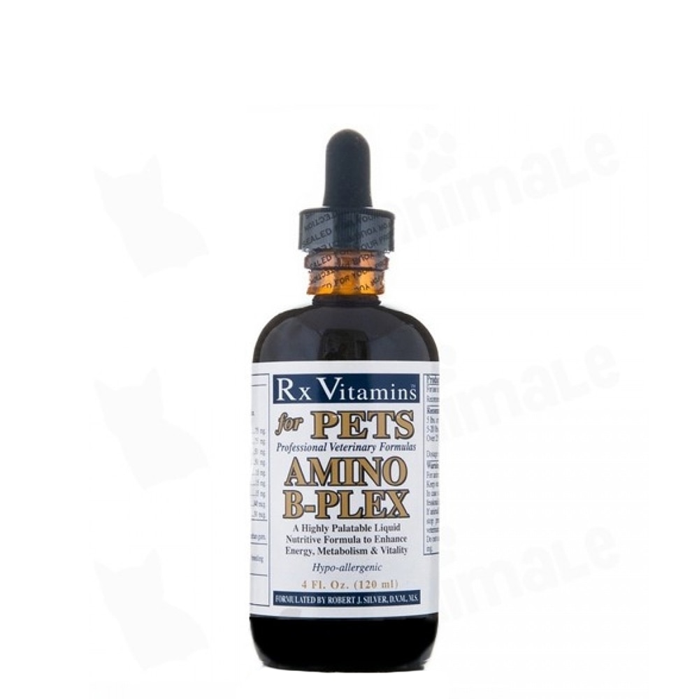 Supliment Nutritiv Rx Vitamins Amino B-Plex 120 ml