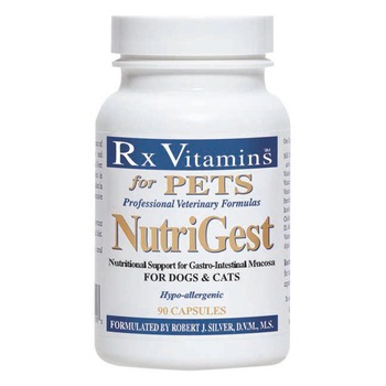 Supliment Nutritiv Rx Vitamins NutriGest 90 tablete Supliment Nutritiv Rx Vitamins NutriGest 90 tablete