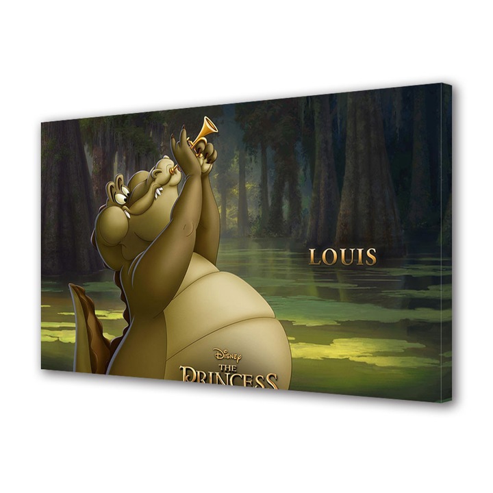 Tablou Luminos in intuneric VarioView Fosforescent Moonlight GLOW Animatie pentru copii Princess and the Frog Louis , 20 x 30 cm