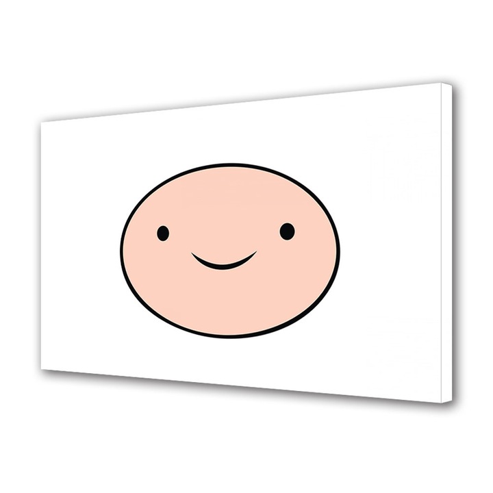 Tablou Luminos in intuneric VarioView Fosforescent Moonlight GLOW Animatie pentru copii Adventure Time Finn , 20 x 30 cm