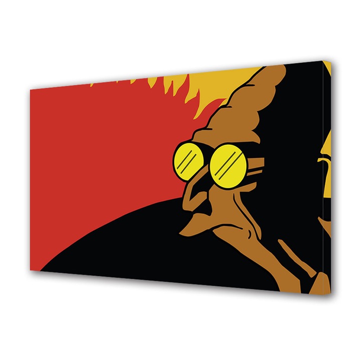 Tablou Luminos in intuneric VarioView Fosforescent Moonlight GLOW Animatie pentru copii Futurama Profesorul , 20 x 30 cm