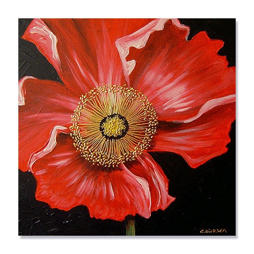 Tablou Canvas - Red Poppy, 100 x 100 cm