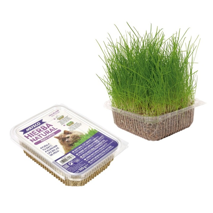 Iarba pisicii, Nayeco, 120g