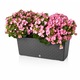 Cutie de flori, Hydrostab, 49,5x19 cm, Antracit