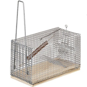 Insecticide si repelente