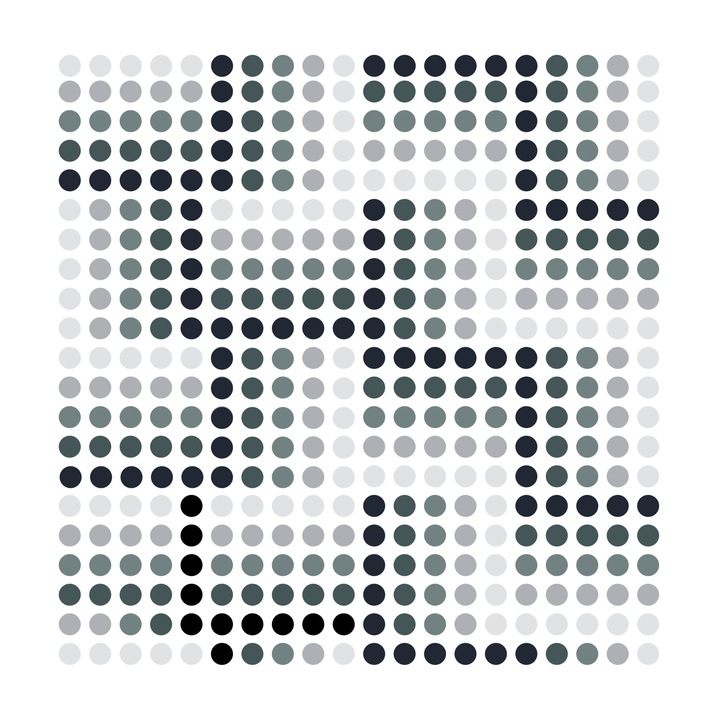 Perdea de dus, AWD, Interior, poliester, alb cu gri, 12 inele incluse, 30x45cm