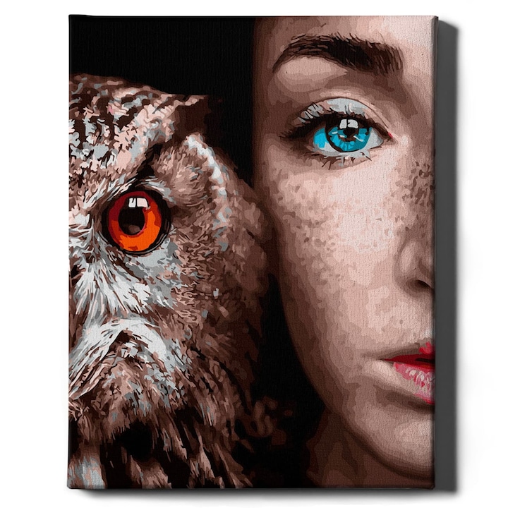 Комплект за рисуване по номера, Oh Art! Owl and face, 40х50 см
