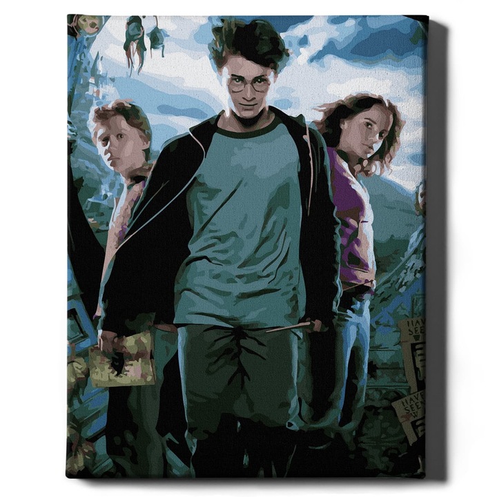Комплект рисуване по номера, Хари Потър, Oh Art!, 40x50 см