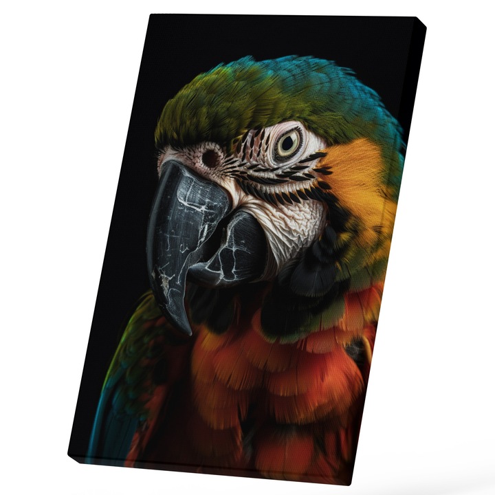 Tablou Canvas Cu Pasare Papagal Tropical Vu Cioc Zgariat, Pene Colorate, Pasarea Vorbitoare, Iubitorii De Animale Tropicale 25x40 cm, Multicolor