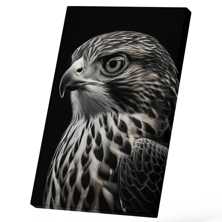 Tablou Canvas Cu Portret Cap DE Pasare Zoom, Nuanta Alb Negru, Fundal Negru, Iubitorii De Animale 25x40 cm, Multicolor