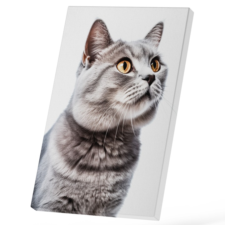 Tablou Canvas Cu Portret Pisica Gri Ochii Porttocalii, Privind Sus, Animal Blanos Iubitorii De Motani si Pisici 25x40 cm, Multicolor