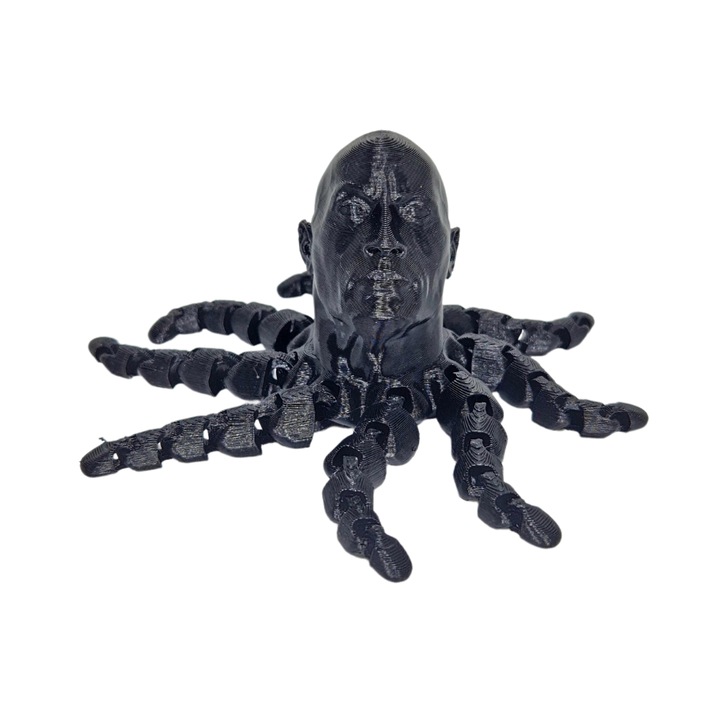 Фигурка fixGuard 3D, RockOctopus, Black