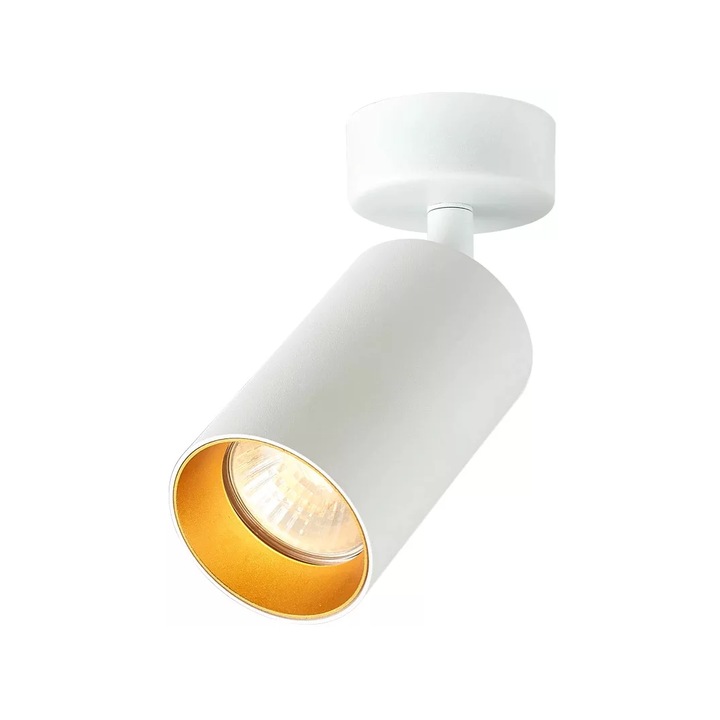 Spot, Tracon Electric, Aluminiu, Reglabil, Alb/Auriu