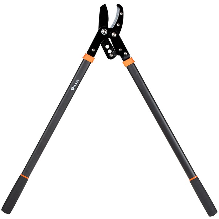 Foarfeca de gradina, Bradas, Negru