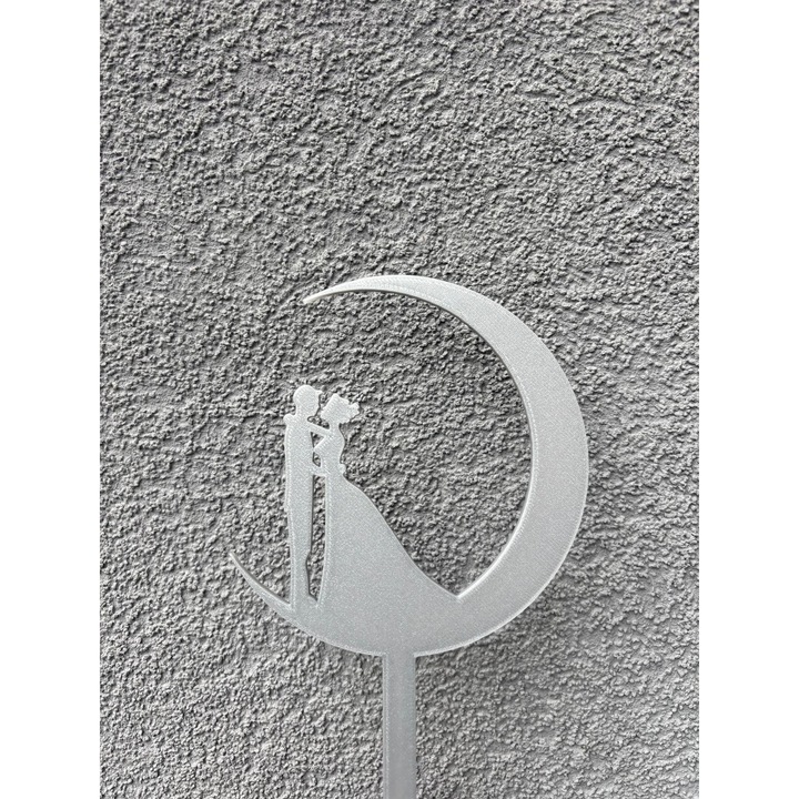 Decoratiune topper tort, "MIRE SI MIREASA" tematica luna, decor pentru tortul miresei, 18 x 11,5 cm argintiu