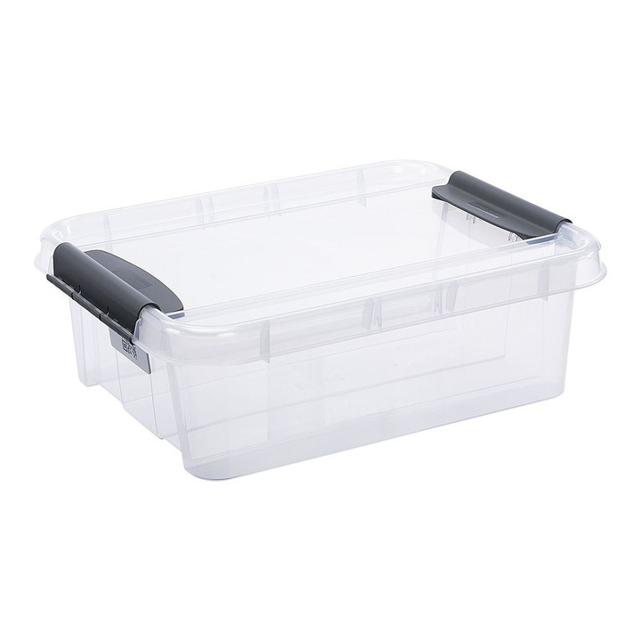 Cutie cu capac pentru depozitare, ProBox, Polipropilena, 21 l, 510 x 390 x 169 mm, Transparent