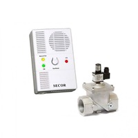 detector de gaz metan si monoxid de carbon secor 2000 cu electrovalva de alama 1 alb imagen 24_0_
0