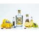 Gin Antidote Citron de Corse, 40%, 0.7l