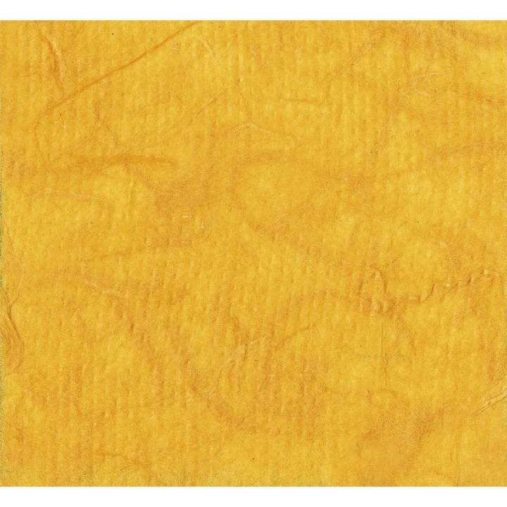 Pachet 10 coli hartie artizanala din lemn de dud, Clairefontaine, 25 g/mp, 65x95cm, Orange