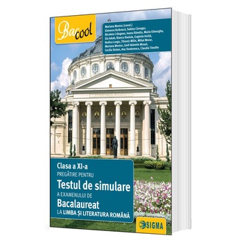 Testul de simulare pregatire pentru clasa 11. Bacalaureat Romana Testul de simulare pregatire pentru clasa 11. Bacalaureat Romana